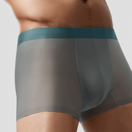 Seamless Men's Ice Silk Underwear Breathable Antibacterial - D&A
