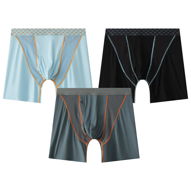 Men's Boxers Transparent Mesh Shorts - D&A