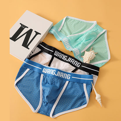 Mesh Breathable Ice Silk Men's Triangle Underwear - D&A