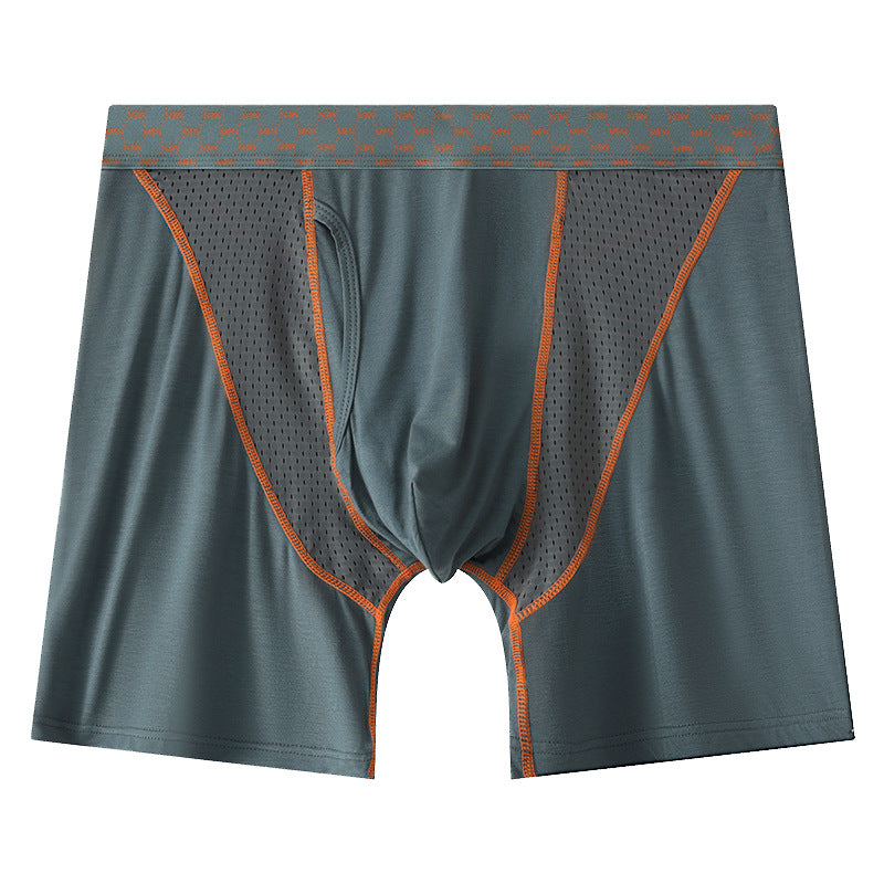 Men's Boxers Transparent Mesh Shorts - D&A