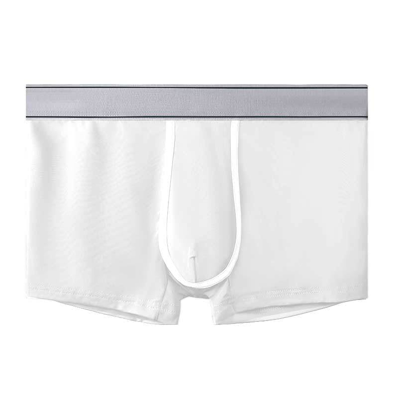 Men's Ice Silk Antibacterial Ultra Thin Sexy Transparent Boys Sports Underwear White 1pcs - D&A