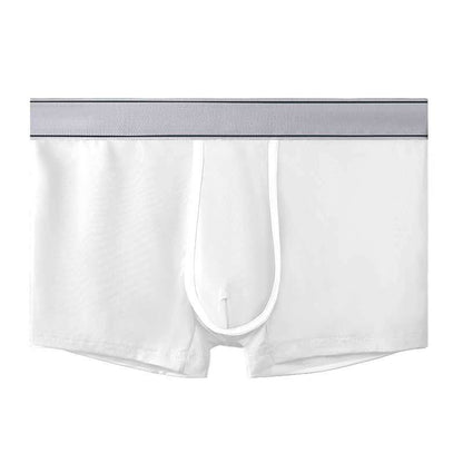 Men's Ice Silk Antibacterial Ultra Thin Sexy Transparent Boys Sports Underwear White 1pcs - D&A