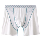 Men's Boxers Transparent Mesh Shorts White - D&A
