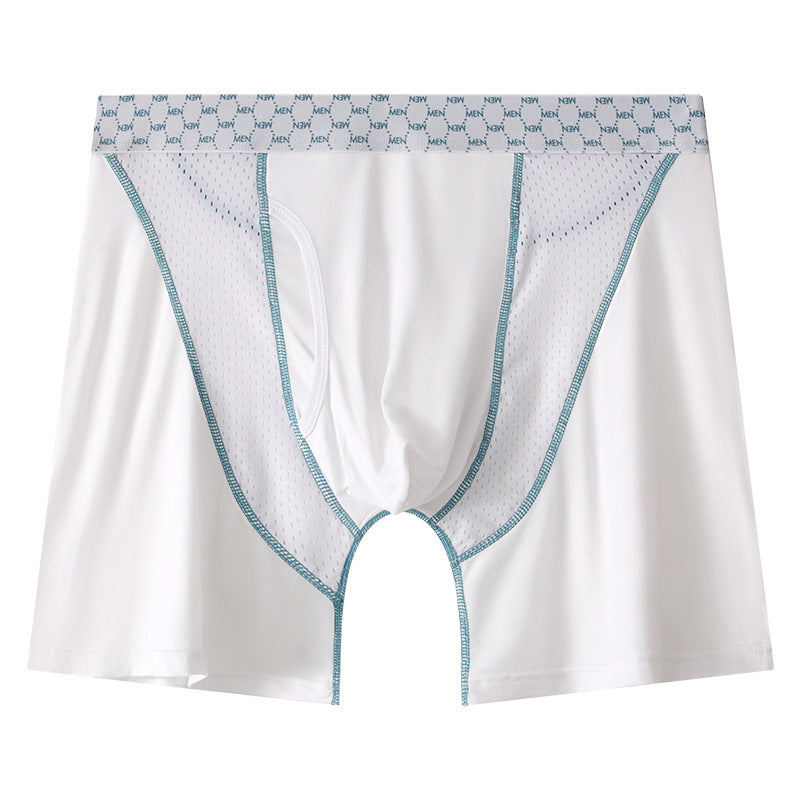 Men's Boxers Transparent Mesh Shorts White - D&A
