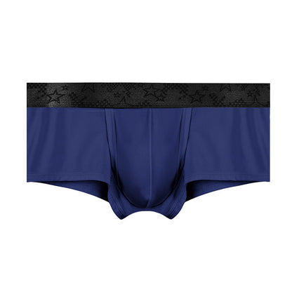 Spermatic Vein Underwear Ice Silk Summer Thin Boys Boyshorts Sapphire Blue - D&A