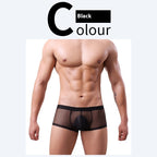 Men's 20D Ice Silk Net Yarn Underwear Thin Black - D&A