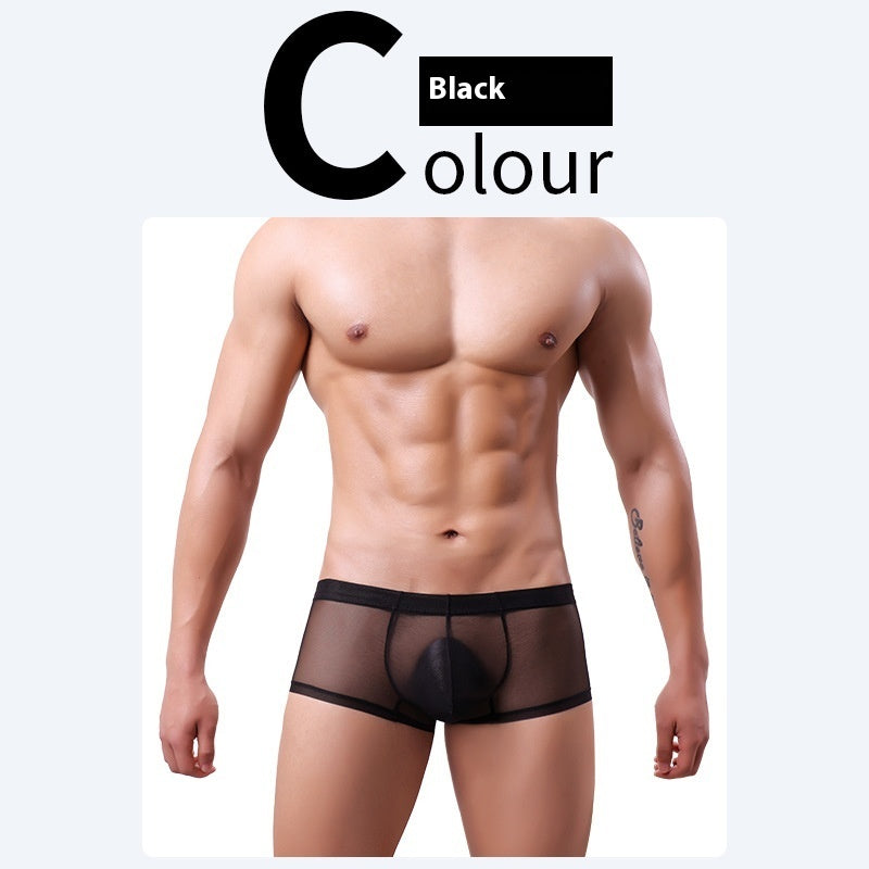 Men's 20D Ice Silk Net Yarn Underwear Thin Black - D&A
