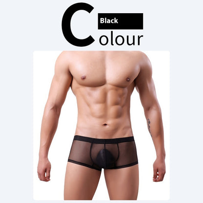 Men's 20D Ice Silk Net Yarn Underwear Thin Black - D&A