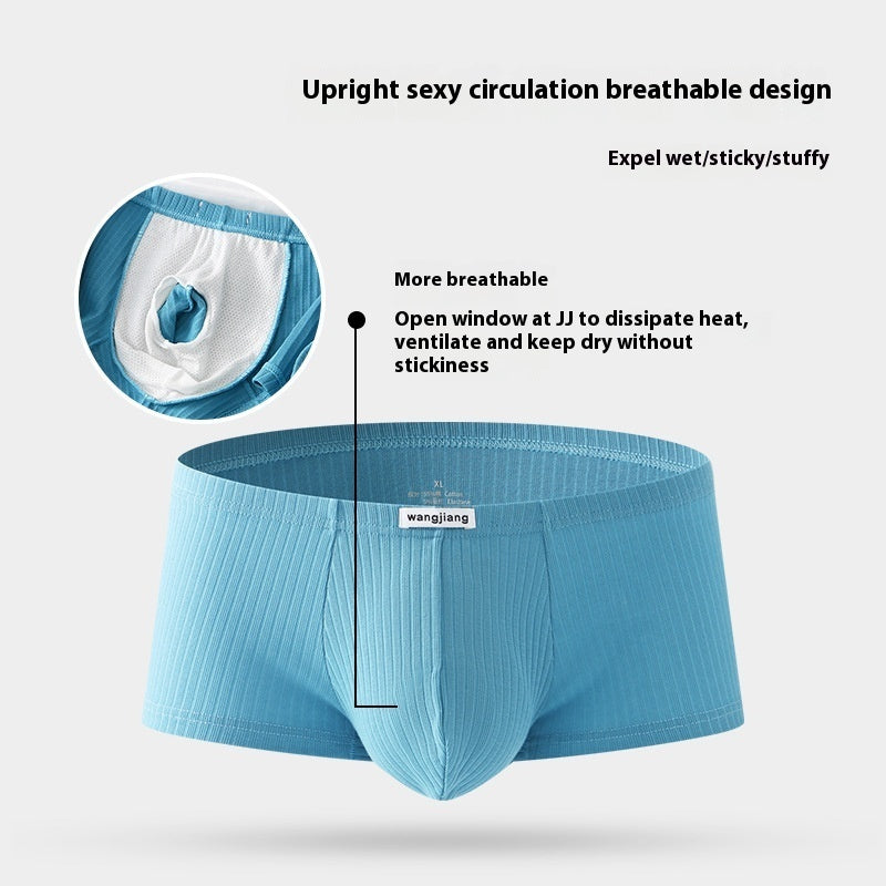 Boxer Briefs Men's Cotton Four Seasons Universal - D&A