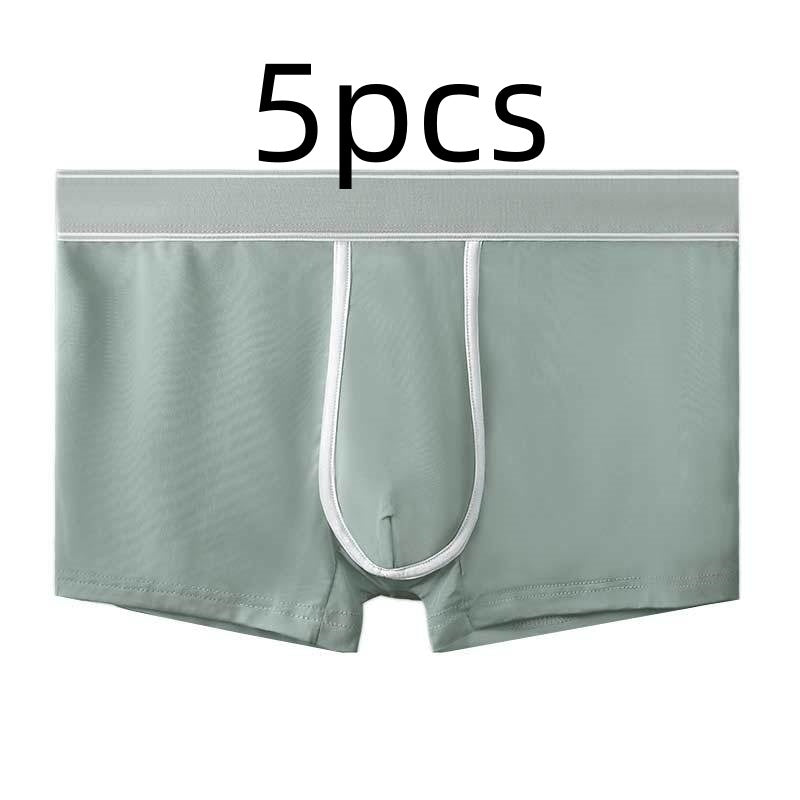 Men's Ice Silk Antibacterial Ultra Thin Sexy Transparent Boys Sports Underwear Gray 5pcs - D&A