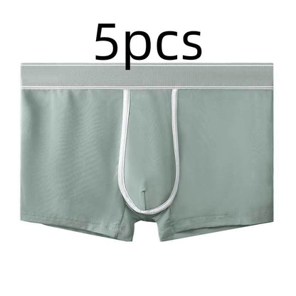 Men's Ice Silk Antibacterial Ultra Thin Sexy Transparent Boys Sports Underwear Gray 5pcs - D&A