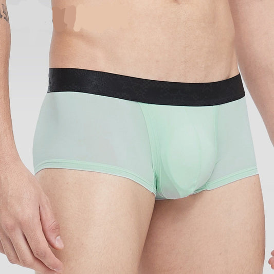 Spermatic Vein Underwear Ice Silk Summer Thin Boys Boyshorts - D&A