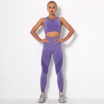 Back Quick Dry Sports Yoga Bra Fitness Bra Pants Set - D&A