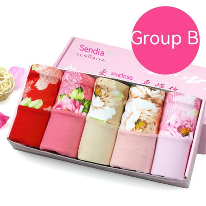 Modal Underwear For Women Mid-waist Cotton 5 Pieces B Group - D&A