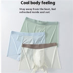 Summer New Men's Ice Silk Underwear Pure Color Seamless Quick-drying - D&A