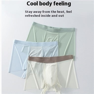 Summer New Men's Ice Silk Underwear Pure Color Seamless Quick-drying - D&A