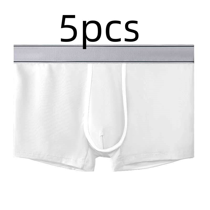 Men's Ice Silk Antibacterial Ultra Thin Sexy Transparent Boys Sports Underwear White 5pcs - D&A