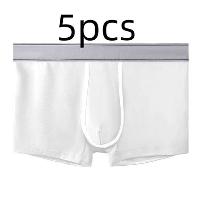 Men's Ice Silk Antibacterial Ultra Thin Sexy Transparent Boys Sports Underwear White 5pcs - D&A